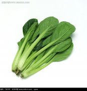 油菜